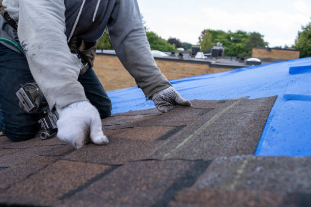 Best Metal Roofing Contractor  in Pasco, WA